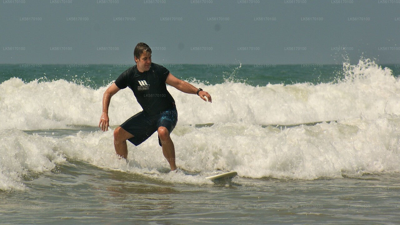 Surfing from Arugam Bay