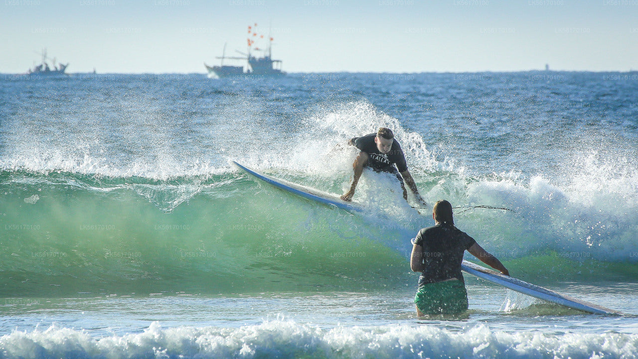 Surfing from Arugam Bay