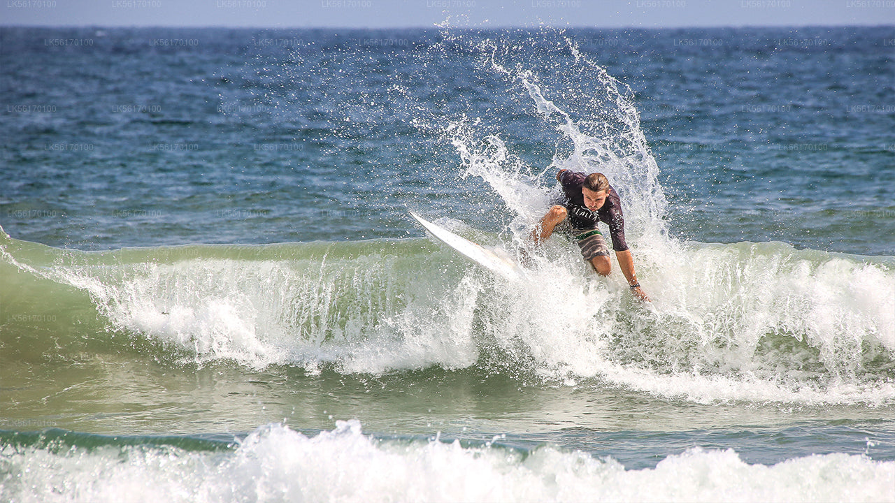 Surfing from Arugam Bay