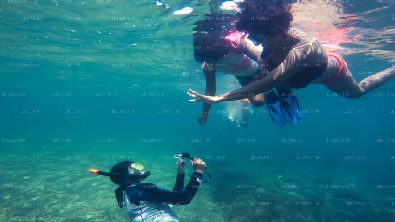 Snorkling fra Negombo