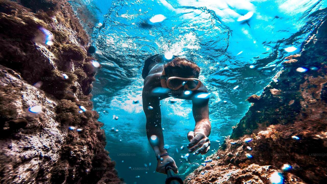 Snorkling fra Negombo