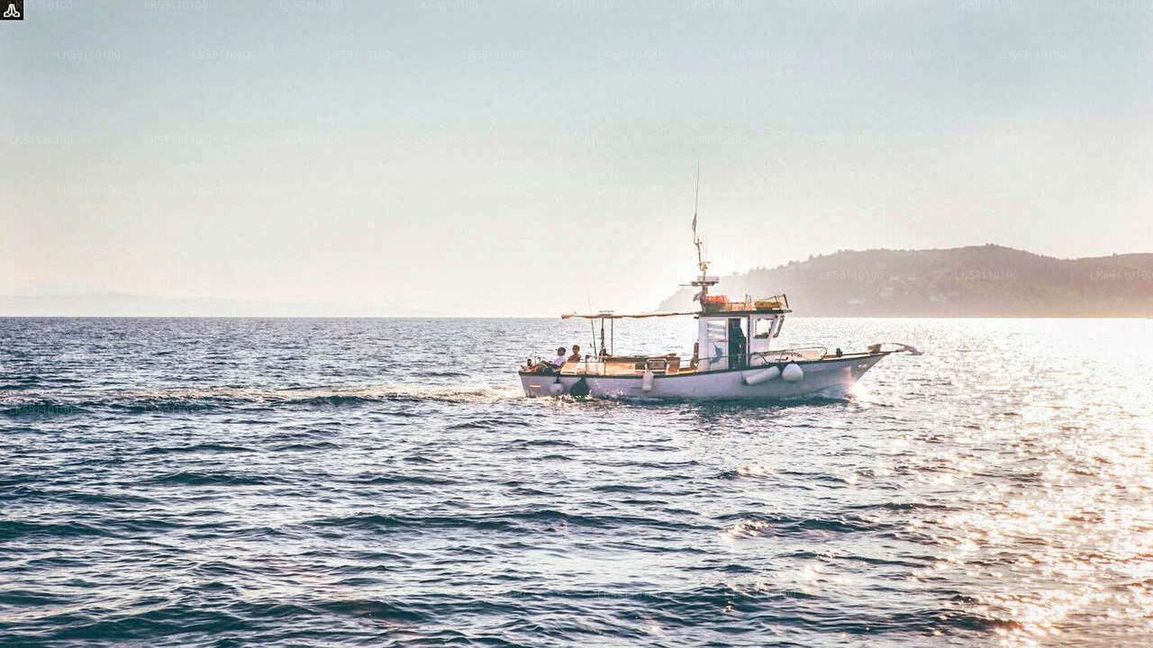 Dybhavsfiskeri bådtur fra Hikkaduwa