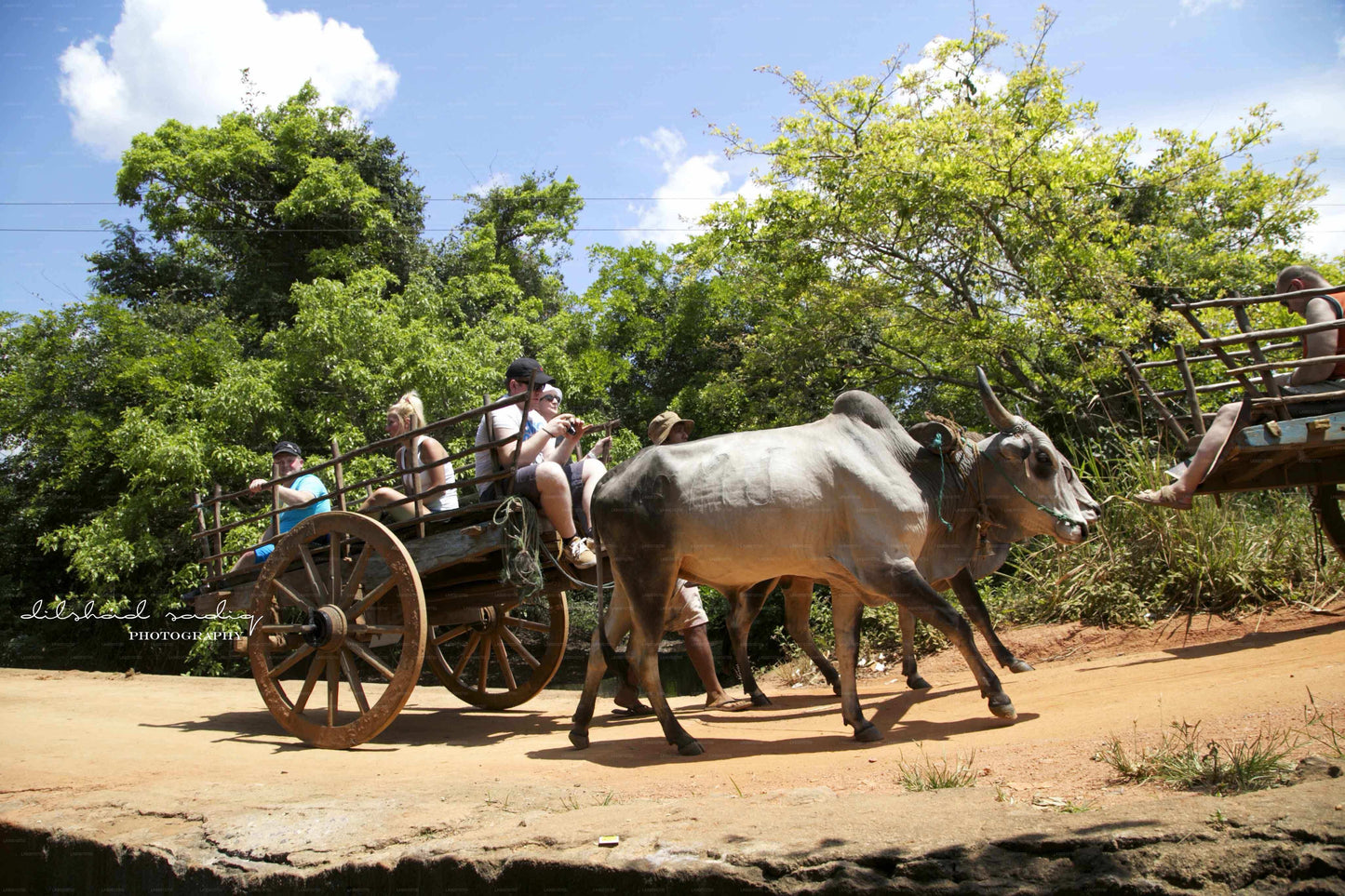 Sigiriya Rock og Village Tour fra Colombo
