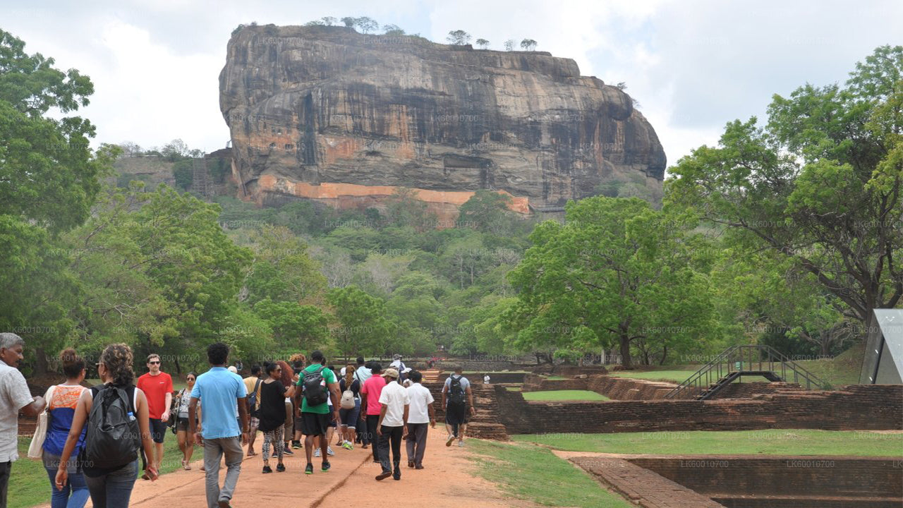 Sigiriya Rock og Village Tour fra Colombo