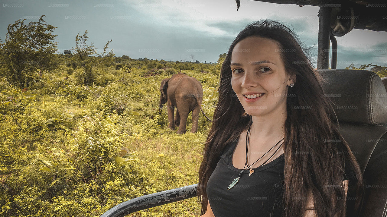 Udawalawe Nationalpark Safari fra Mirissa