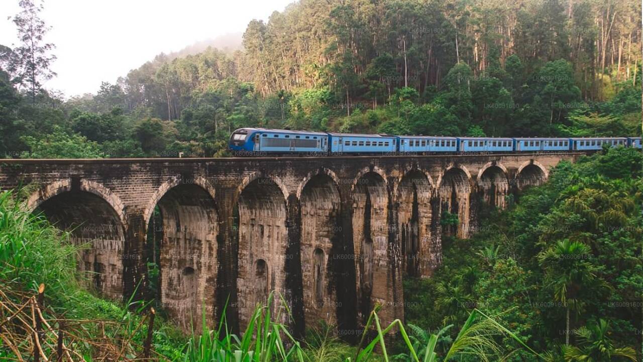 Adisham Rail Tour from Ella