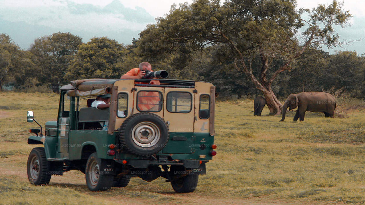Udawalawe National Park Safari fra Beruwala
