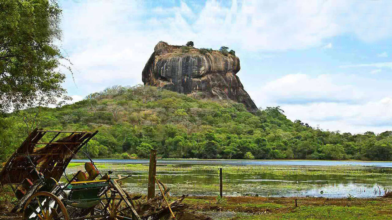 Sigiriya og Dambulla fra Colombo