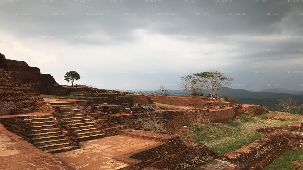 Sigiriya og Dambulla fra Colombo