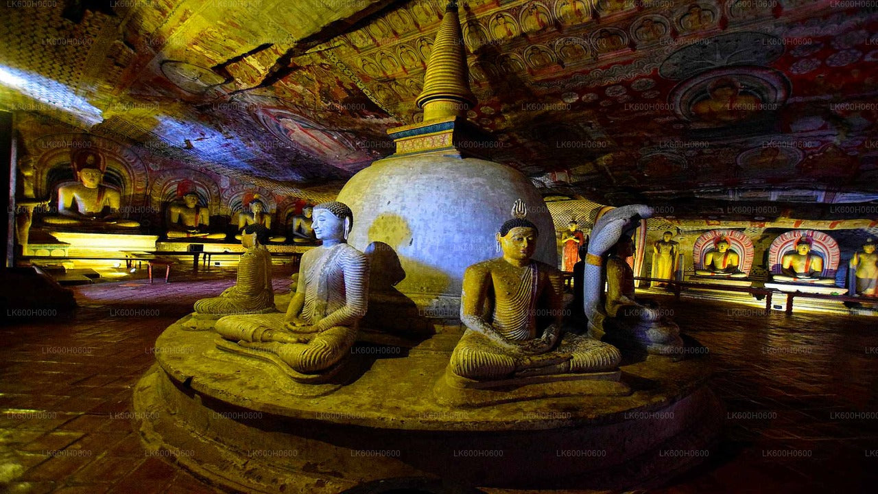 Sigiriya og Dambulla fra Colombo