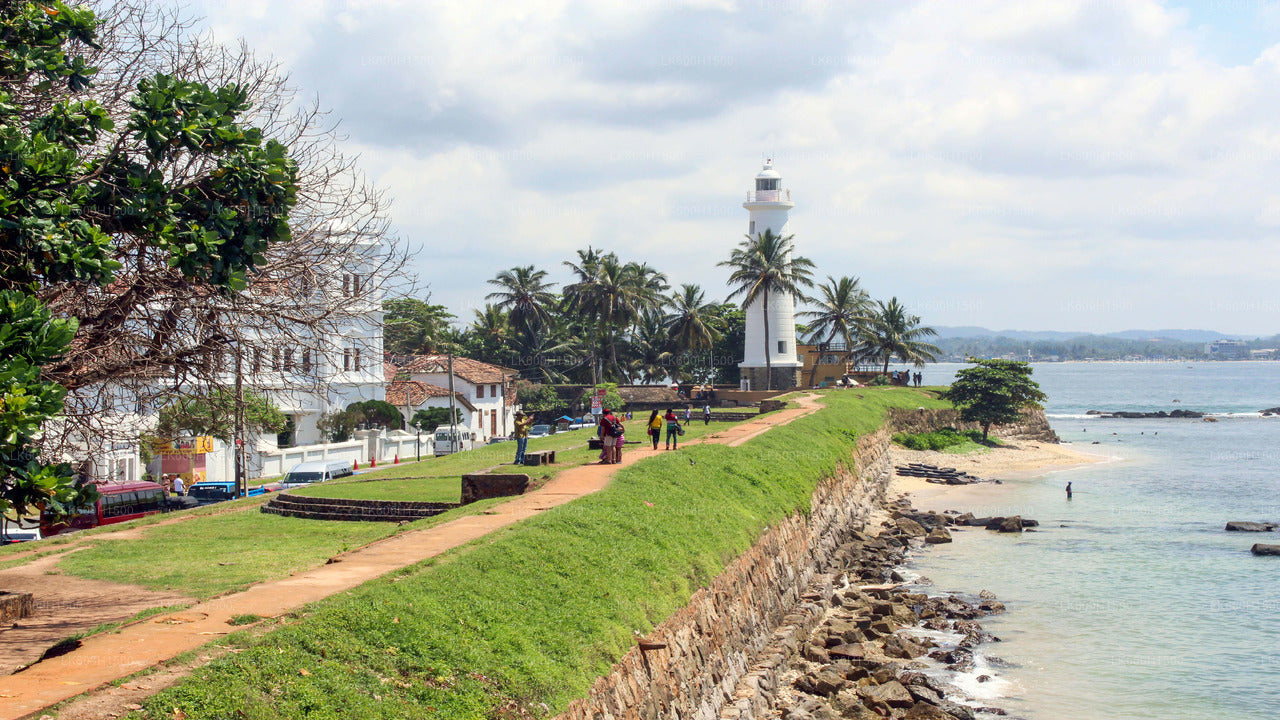 Jomfru hvid te fabrik og Galle Fort fra Colombo