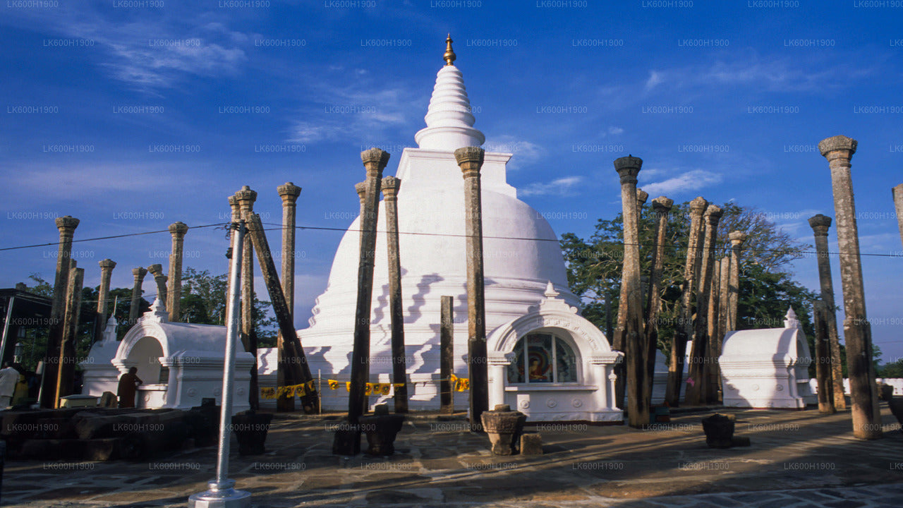 Hellig by Anuradhapura fra Colombo