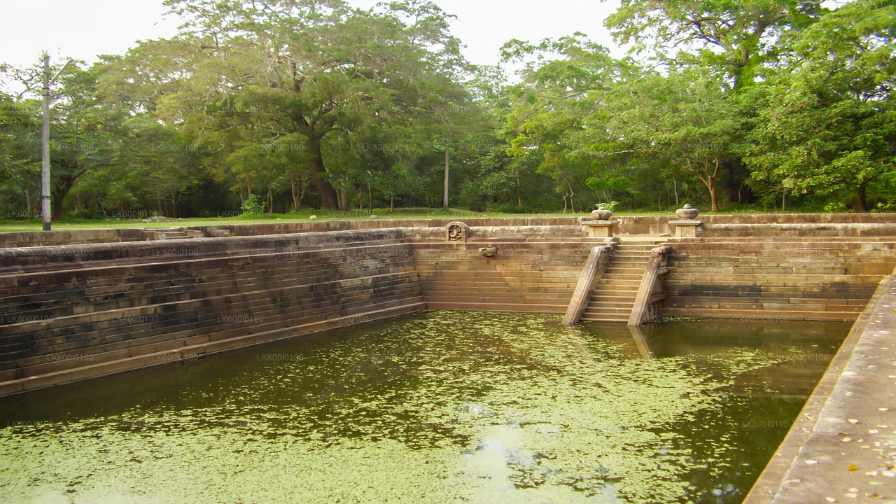 Hellig by Anuradhapura fra Dambulla