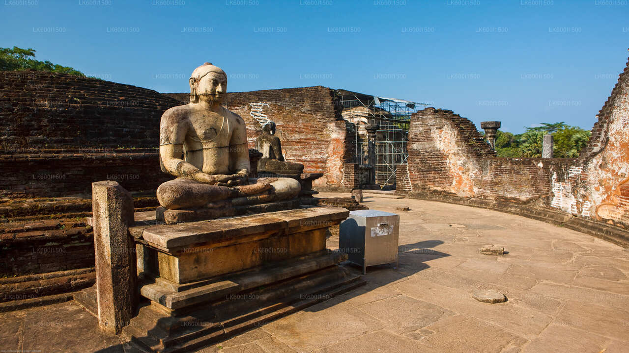 Polonnaruwa Ancient Kingdom og Wild Elephant Safari fra Dambulla