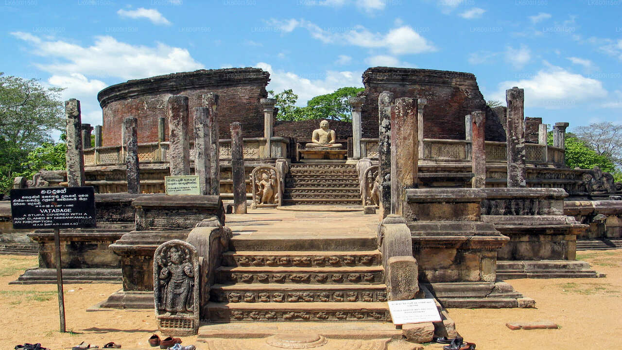 Polonnaruwa Ancient Kingdom og Wild Elephant Safari fra Dambulla
