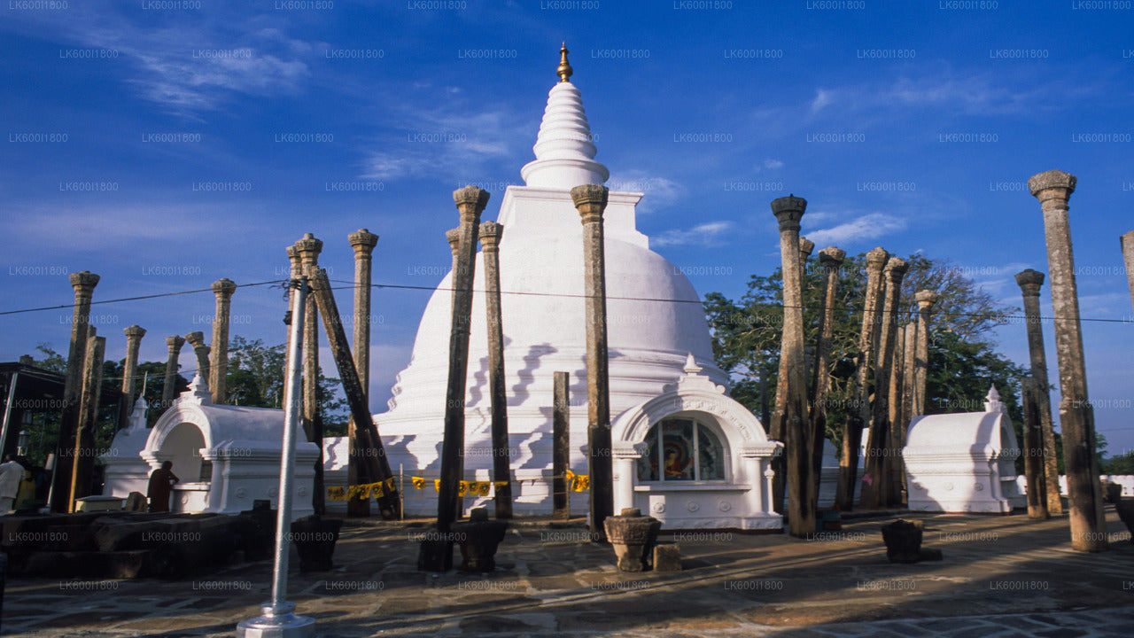 Anuradhapura buddhistiske ikoner tur fra Dambulla