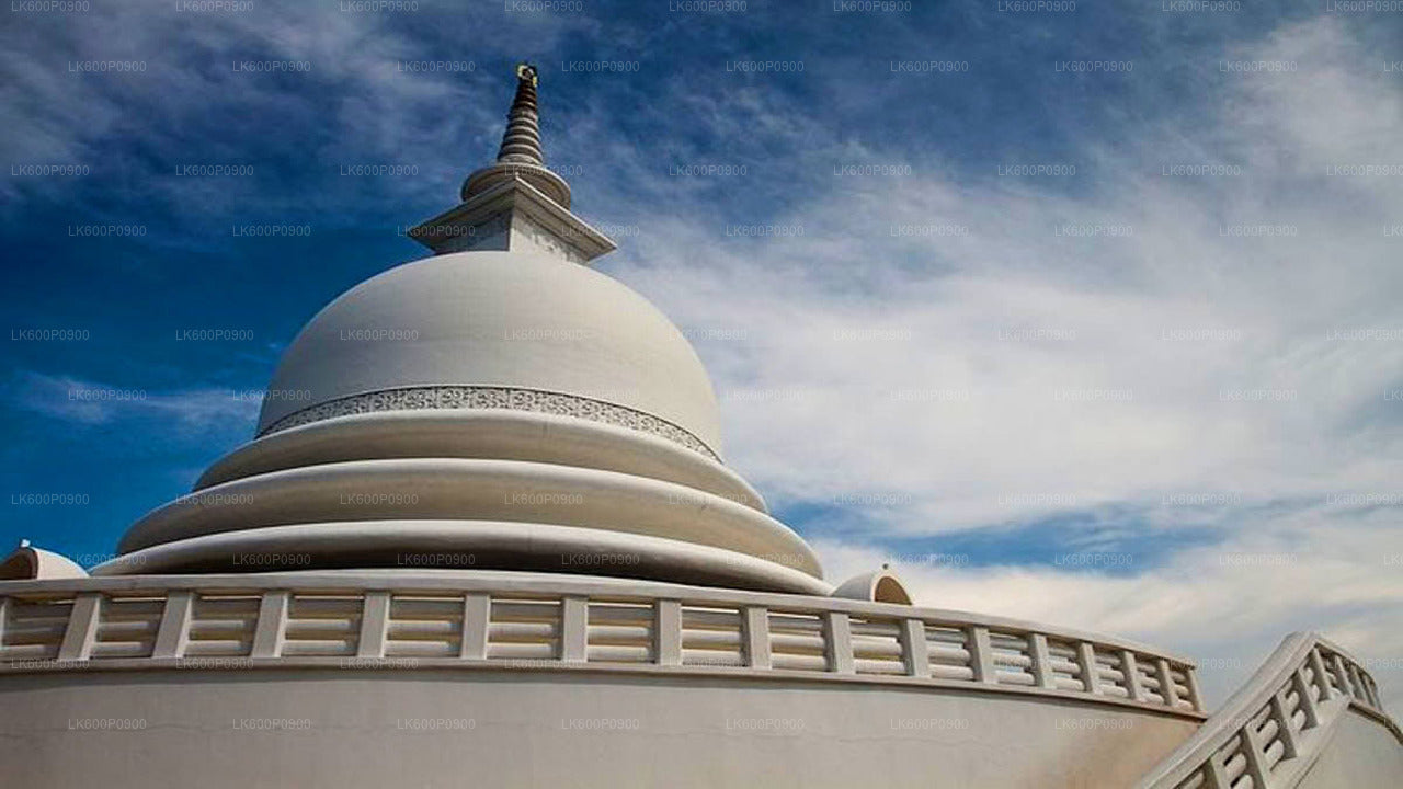 Skjulte templer og afsondrede kystlinjer Tour fra Galle