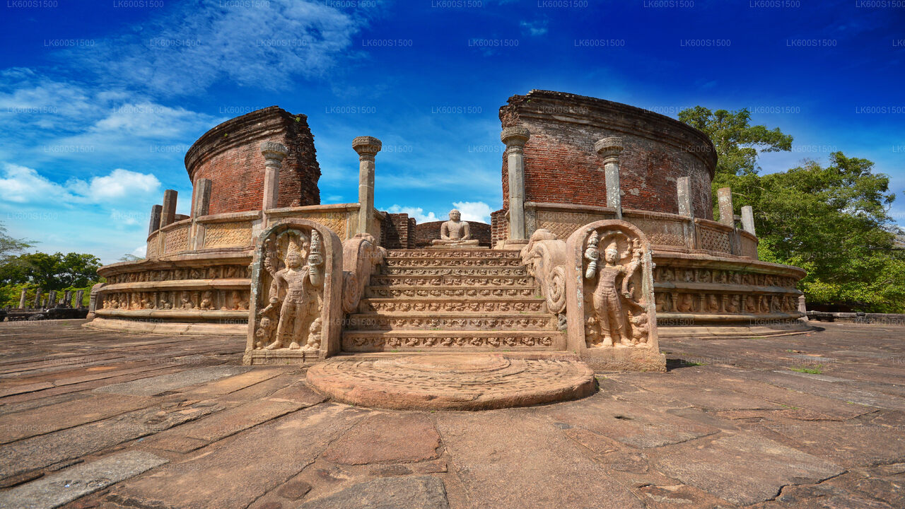 Polonnaruwa Ancient Kingdom og Wild Elephant Safari fra Habarana