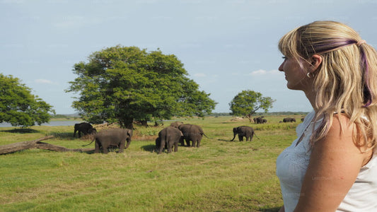 Sigiriya Rock og Wild Elephant Safari fra Kandy