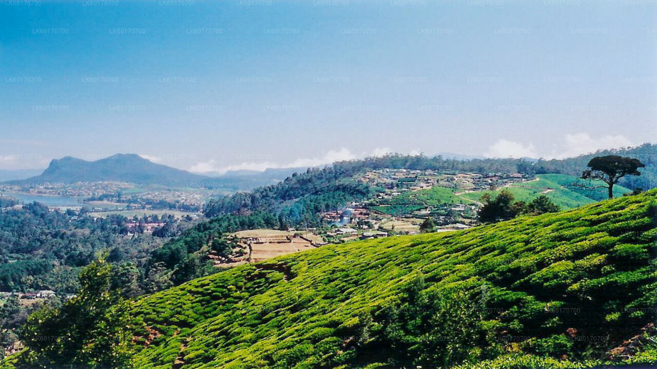 Central Highlands Peak Point fra Kandy