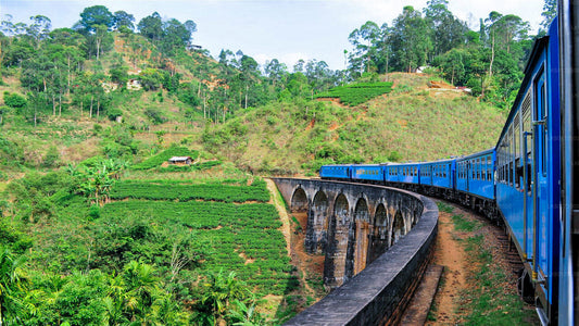 Naturskøn togtur til Ella fra Kandy