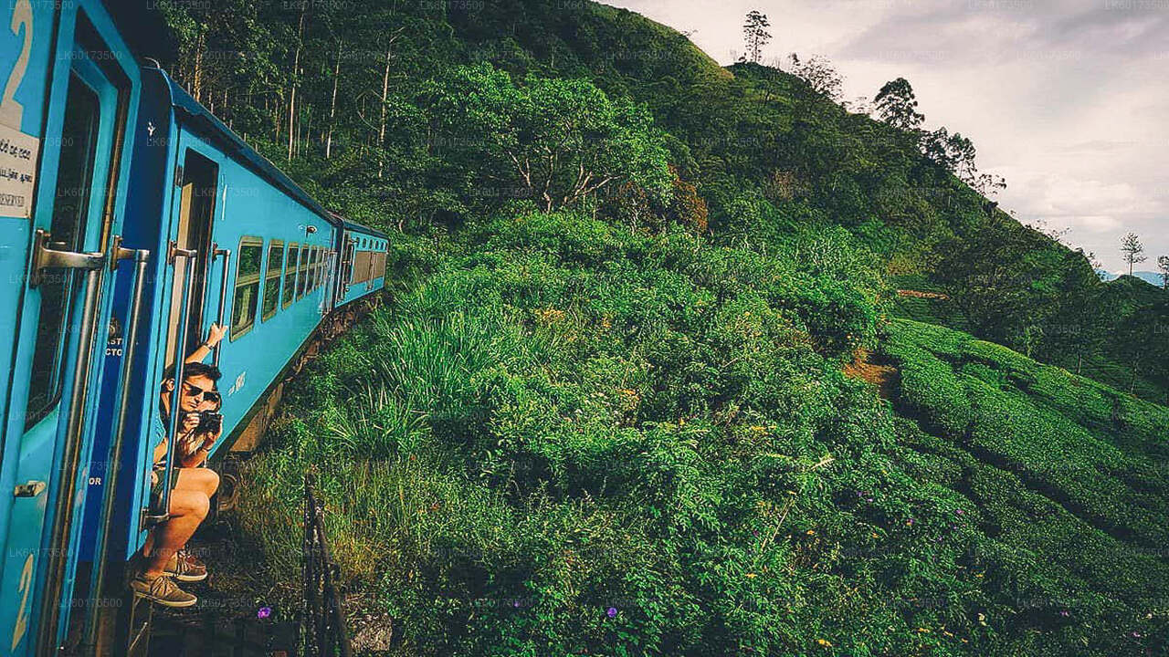 Naturskøn togtur til Ella fra Kandy
