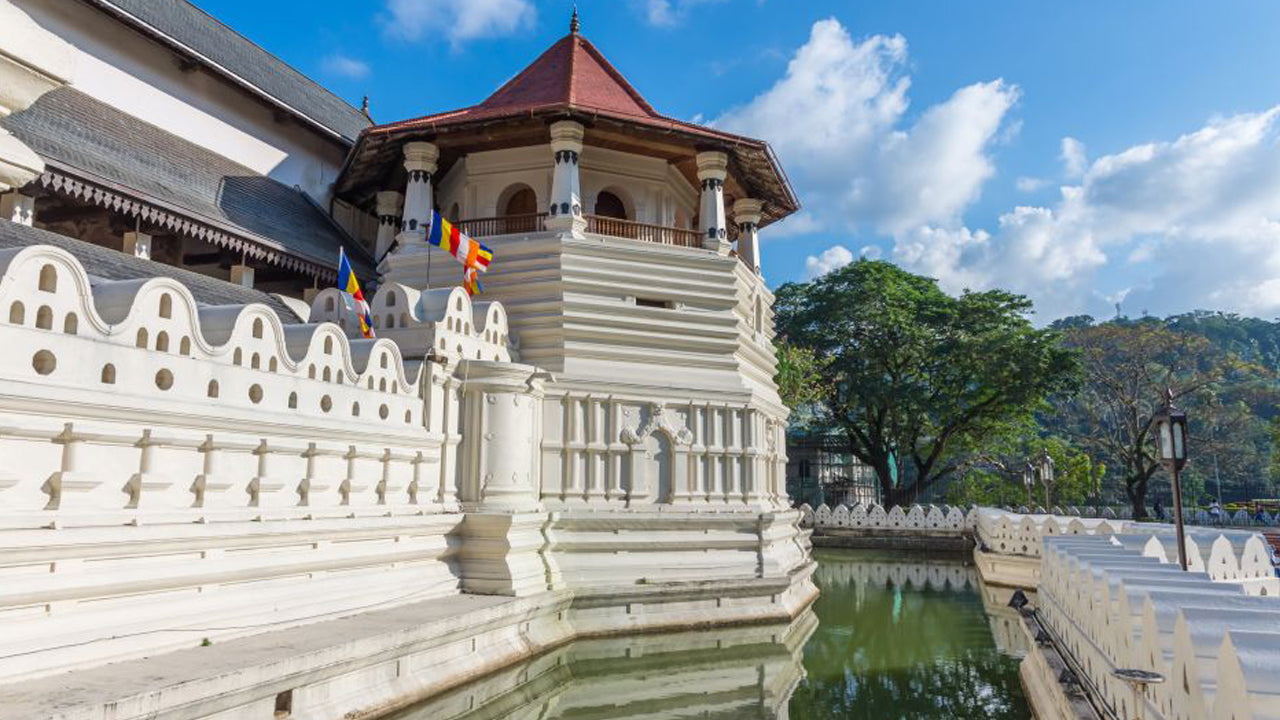 Pinnawala og Kandy Tour fra Colombo