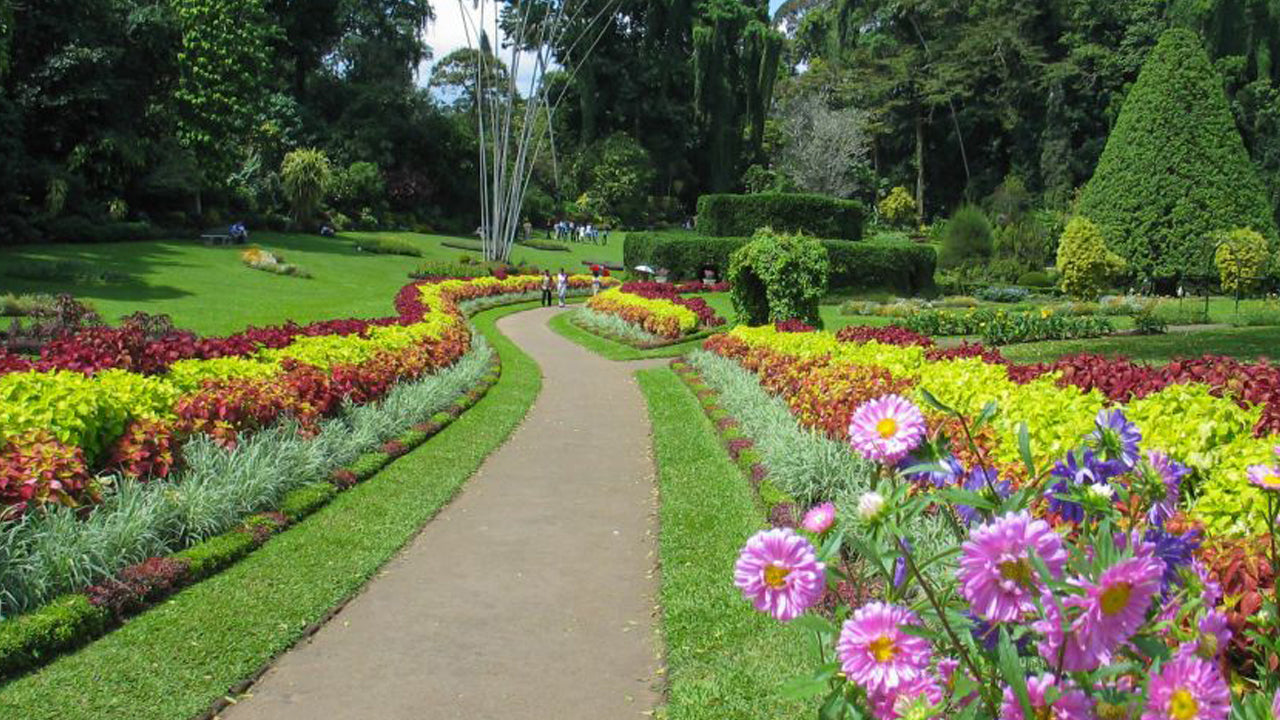 Pinnawala og Kandy Tour fra Colombo