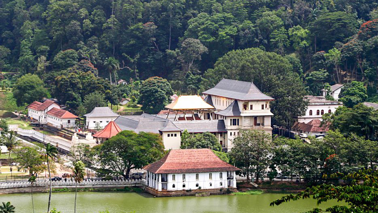 Pinnawala og Kandy Tour fra Colombo