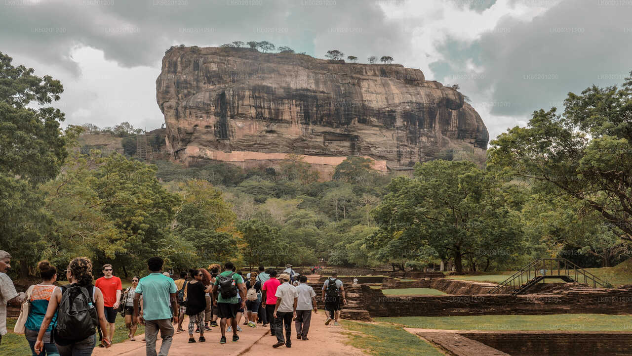 Sigiriya Rock og Wild Elephant Safari fra Sigiriya