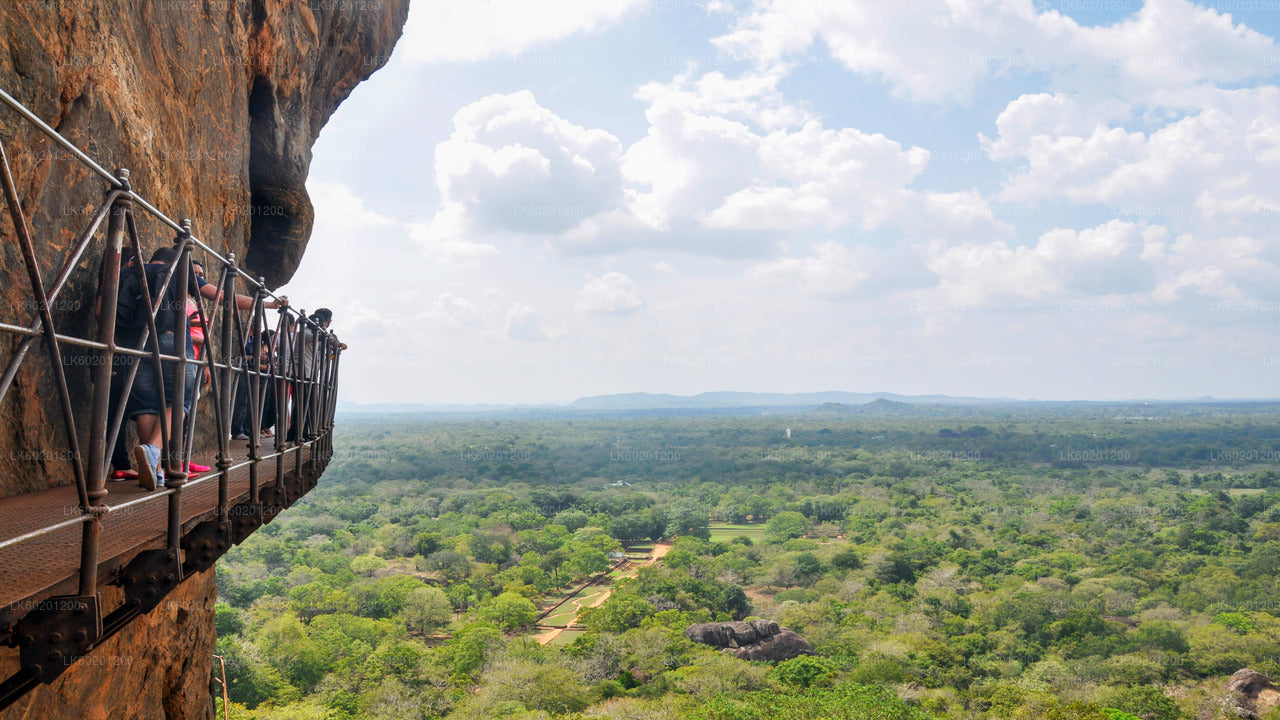 Sigiriya Rock og Wild Elephant Safari fra Sigiriya