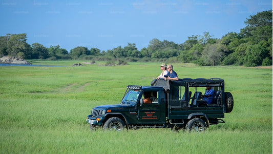 Udawalawe Nationalpark Safari fra Dikwella