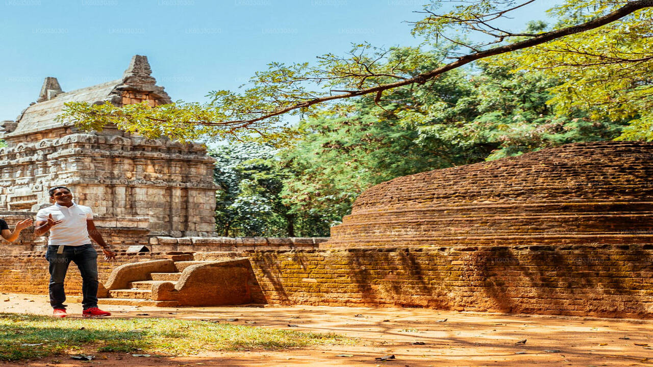 Sigiriya og Dambulla fra Colombo