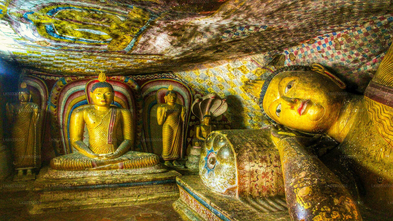 Sigiriya og Dambulla fra Colombo