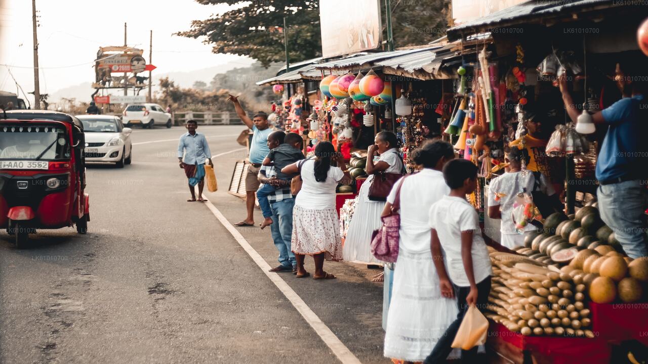 Colombo City Walk med en lokal