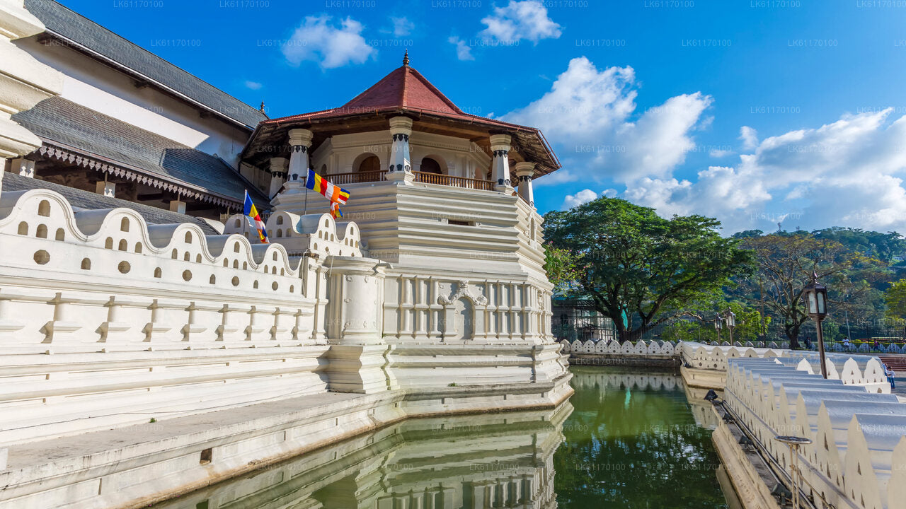 Kandy City Tour