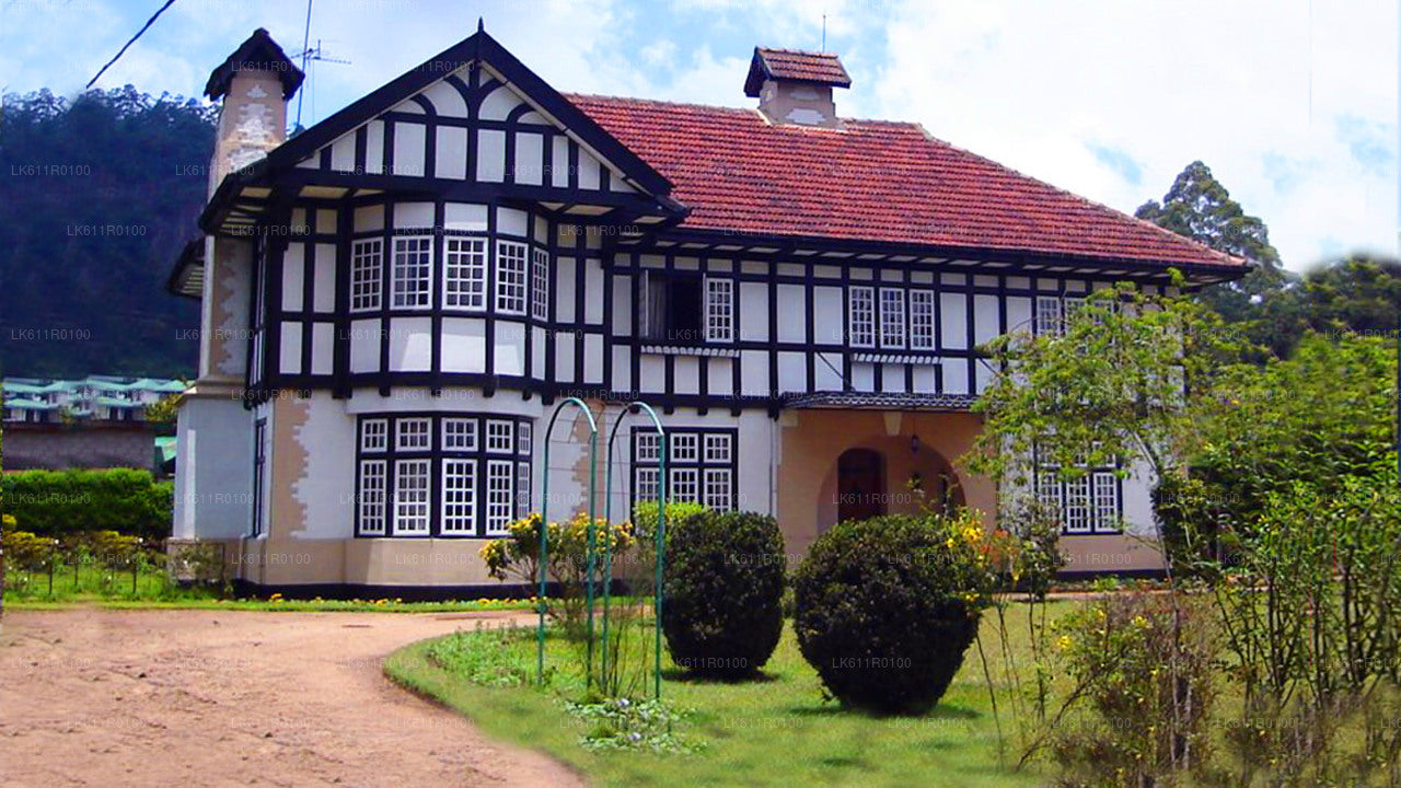 Nuwara Eliya bytur