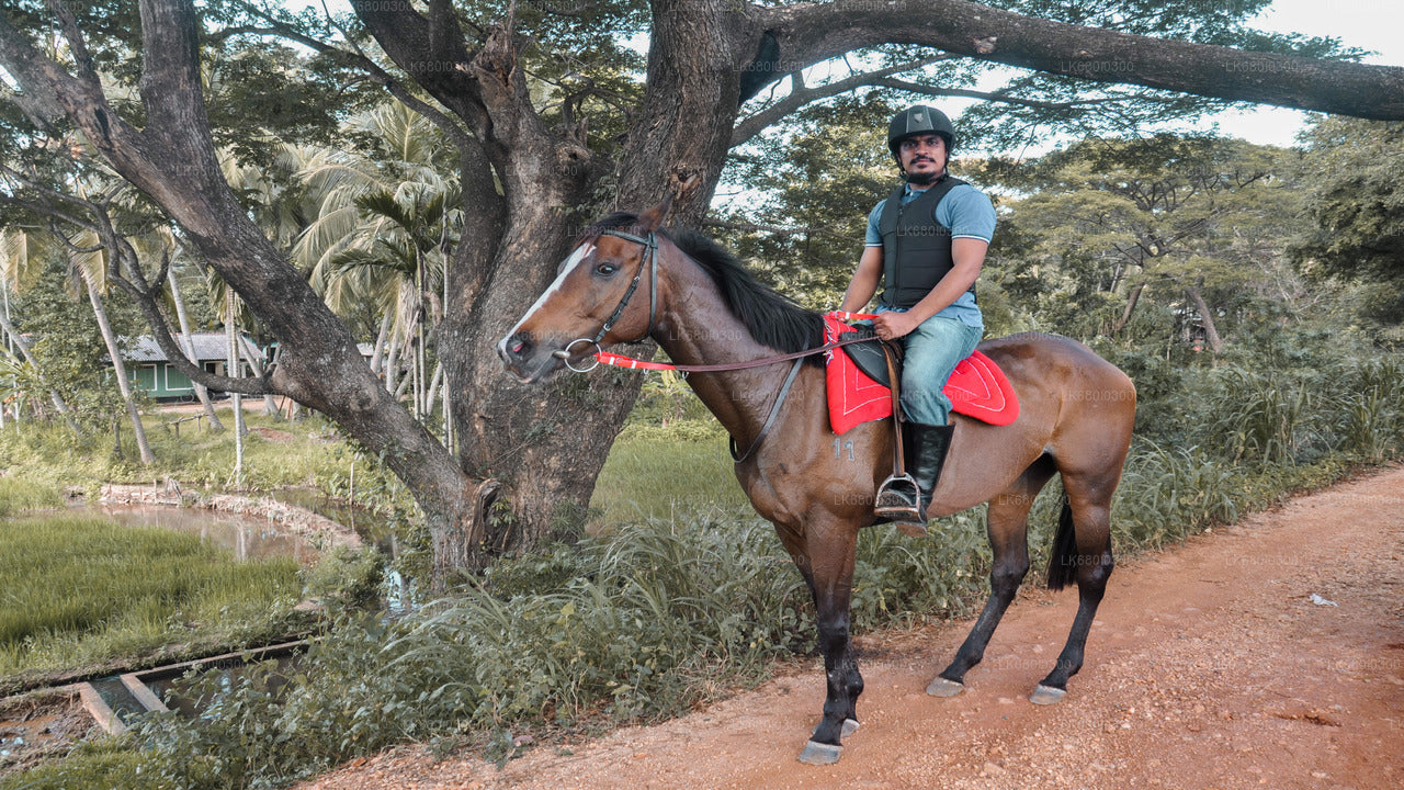 Horse Ride around a Village from Dambulla