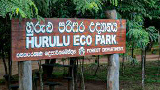 Billetter til Hurulu Eco Park