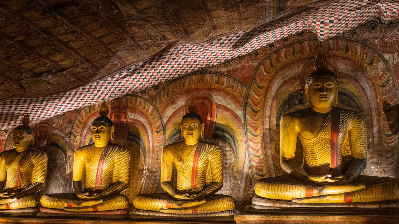 Billetter til Dambulla Cave Temple