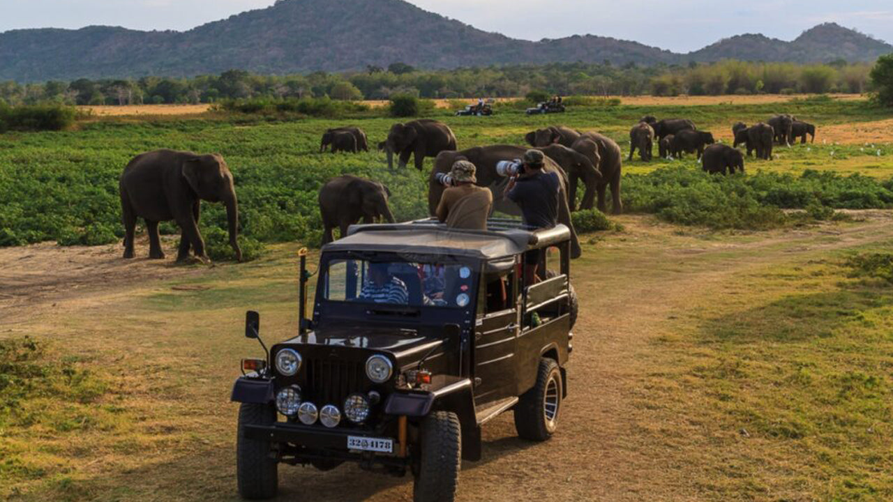 Indgangsbillet til Yala National Park