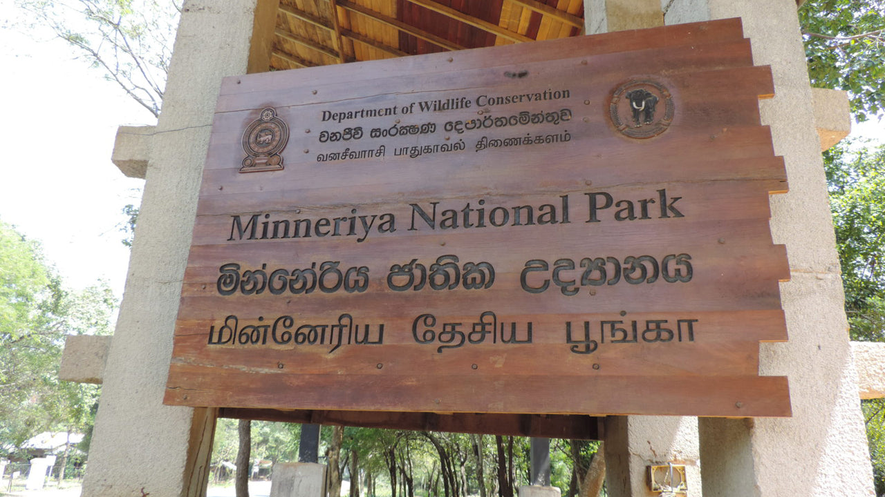 Indgangsbillet til Minneriya National Park