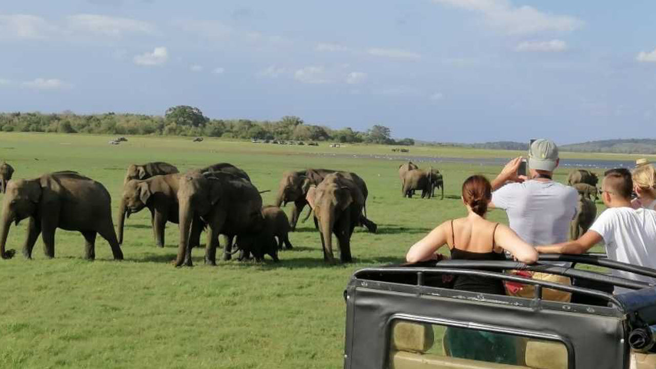 Indgangsbillet til Minneriya National Park