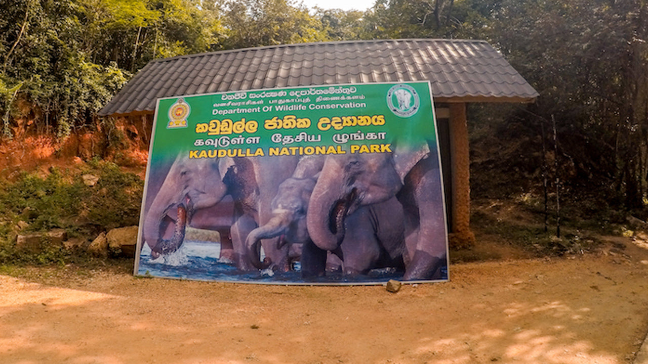 Billetter til Kaudulla National Park
