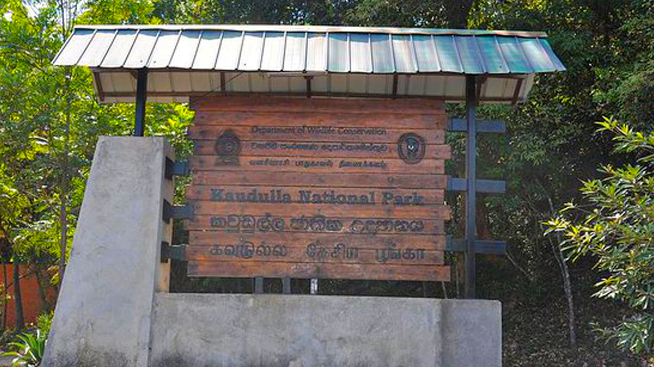Billetter til Kaudulla National Park
