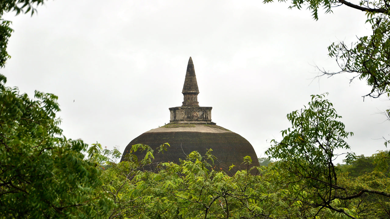 Billetter til Polonnaruwa Ancient City