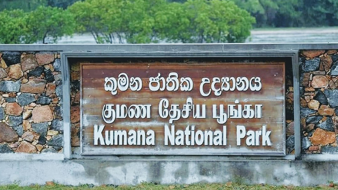 Billetter til Kumana National Park