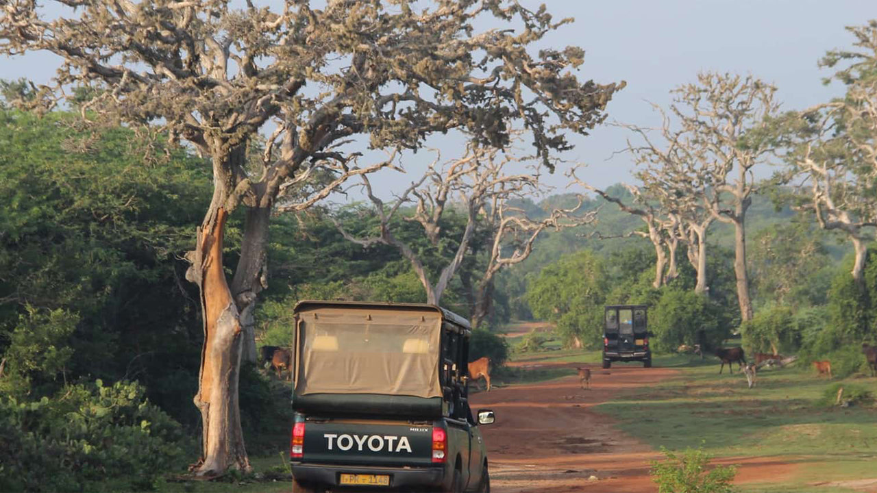 Billetter til Bundala National Park