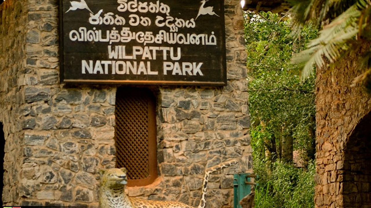 Billetter til Wilpattu National Park