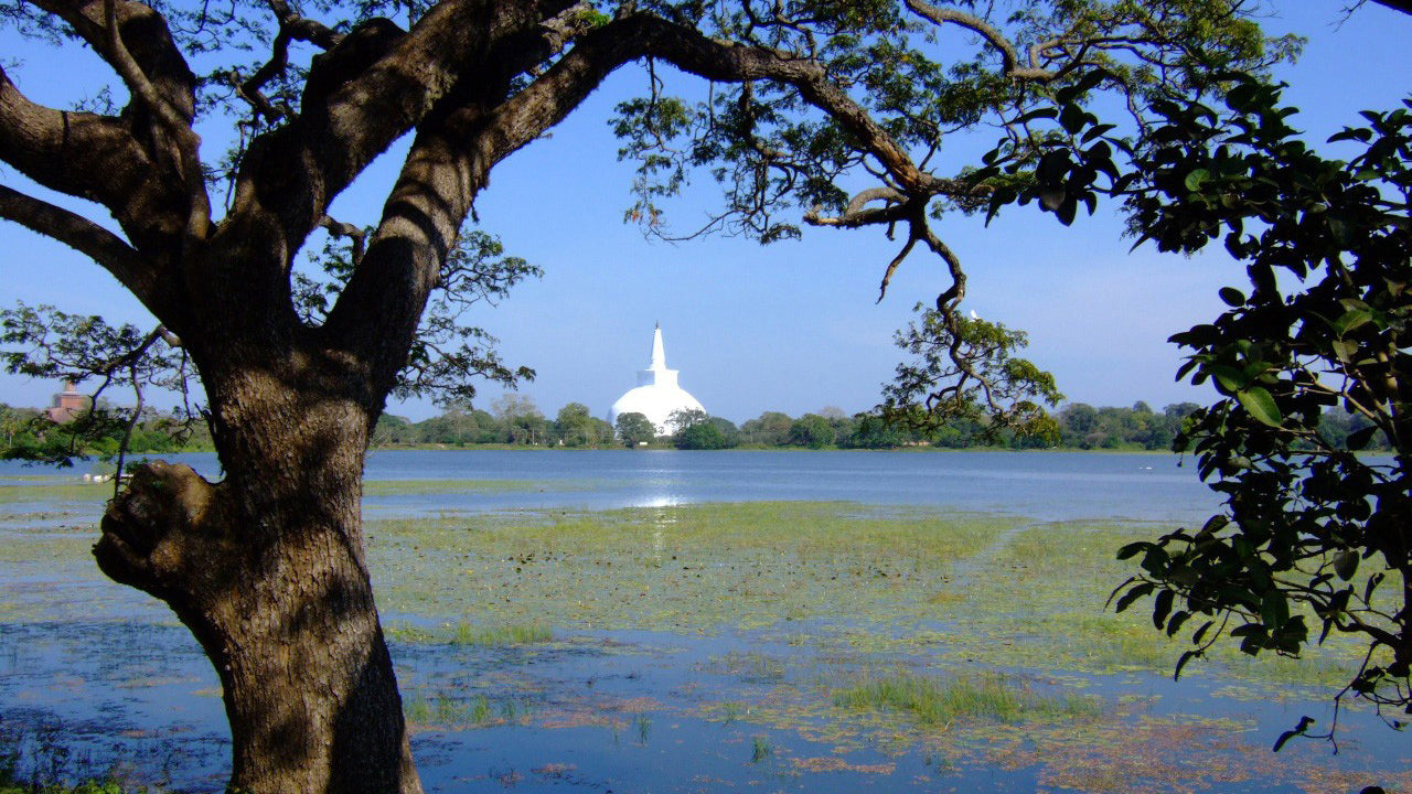 Indgangsbillet til Anuradhapura Sacred Area